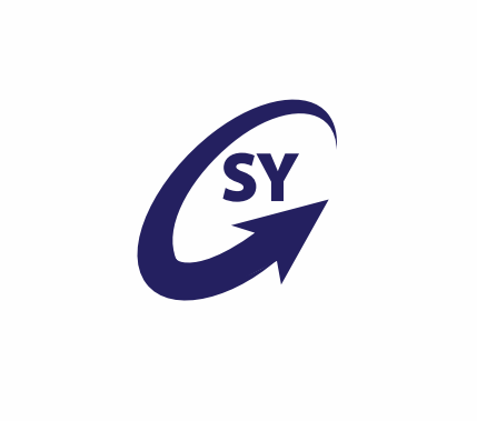 The CSY International