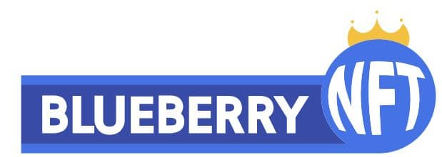 Blueberry NFT Co., Ltd