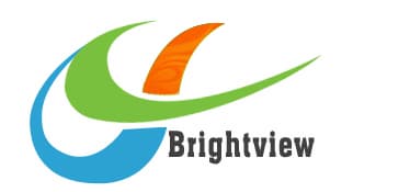 Brightview Electronics (HK) Limited