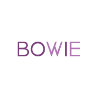 BOWIE Co Ltd