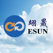 Esun International