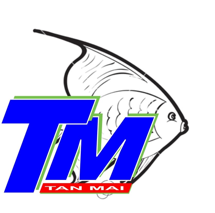 Tan Mai International Company Limited