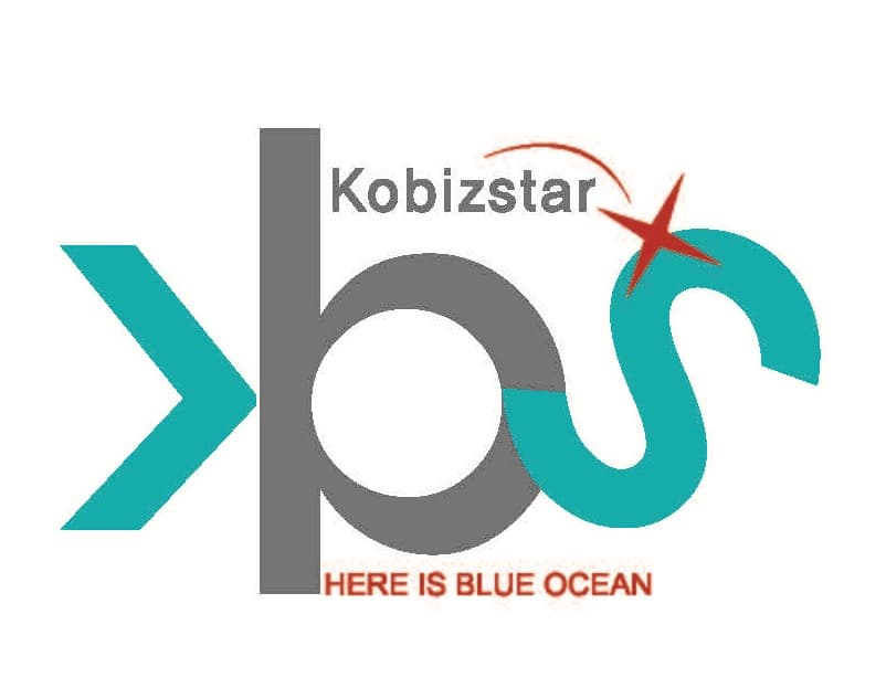 Kobizstar Co Ltd