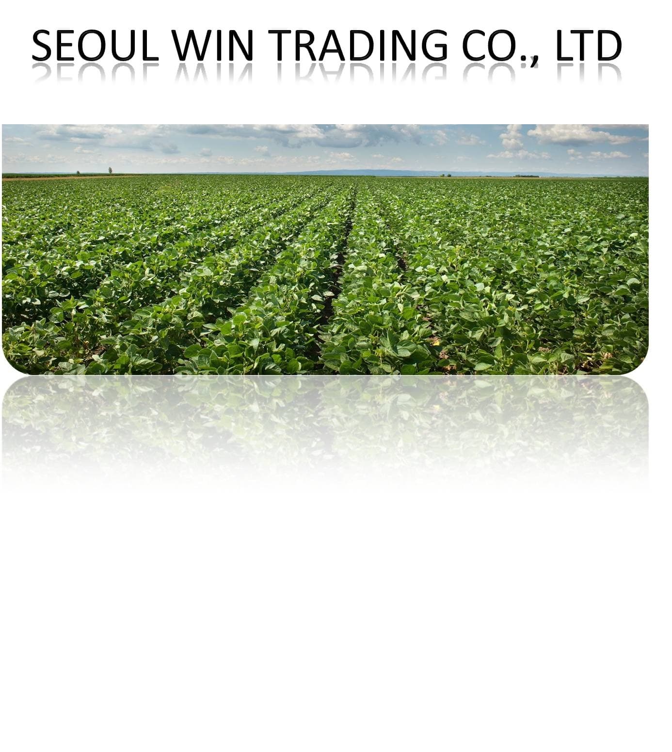 Seoul Win Trading Co., Ltd.