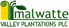 MALWATTE VALLEY PLANTATIONS PLC