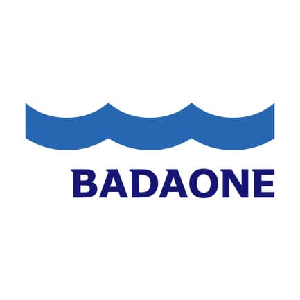 BADAONE Co ltd