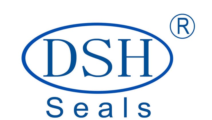 Guangdong DSH Seals Technology Co., Ltd