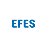  EFES Corporation  
