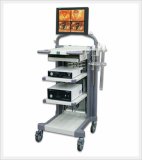 Endoscopic Visual Imaging System
