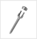 Spinal Pedicle Screw System