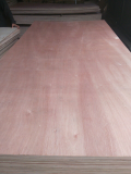 Plywood grade AB with Okoume face good quality for packing
