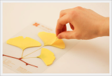[Memopad / Notepad / Sticky Notes]Leaf-it_Ginkgo