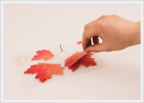 [Memopad / Notepad / Sticky Notes]Leaf-it_Maple