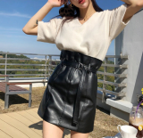 Iro Skirt