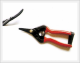 Pruning Shears