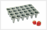 Exclusive Use for Strawberry Tray