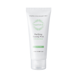 OxygenCeuticals Purifying Foaming Wash