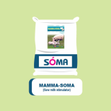 MAMMA_SOMA T