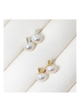Silver Earrings  Wholesale Silver Jewelry No_10125748