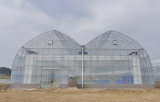construction of greenhouse(vinyl)
