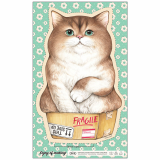 DIY Fabric _  A cat in the box _Jumbo_