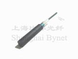 GYXTW fiber optic cable