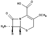 7-AMC / for Cefroxadine