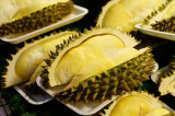 Durian_Monthong
