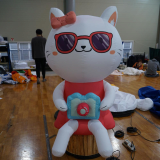 A cat holding a camera inflatable _Customized_