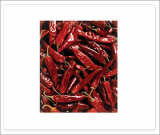 Dried Chili Pepper 