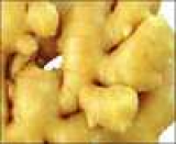 Ginger Extract--huir