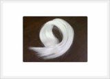 Chameleon Hair[Hair Wig][Saewon Co., Ltd.]
