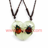 real insect lucite resin jewelry