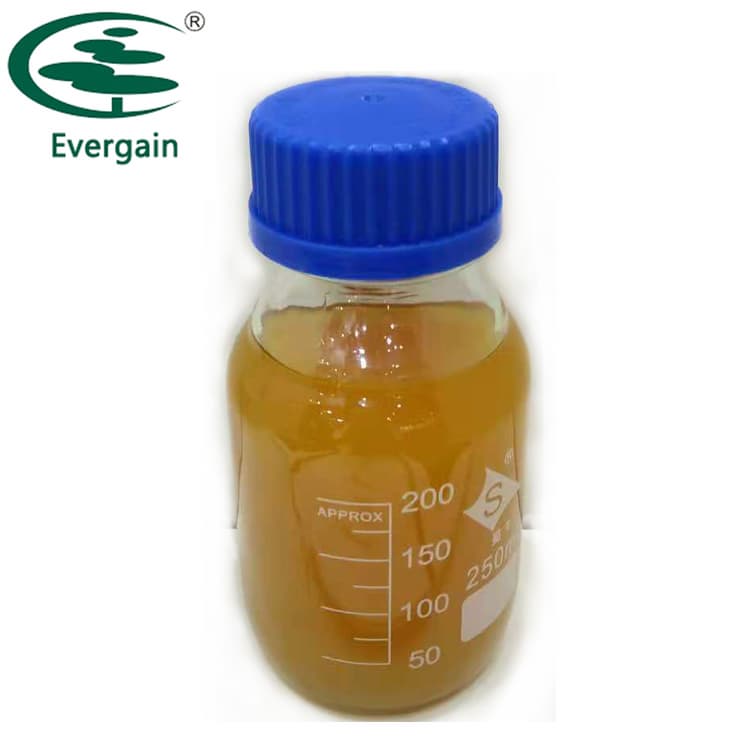 Chloroprene Shoe Cement Adhesive Can Be Used for EVA, Leather, Rubber  Materials - China Shoe Adhesive, Footwear Adhesive