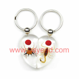 real spider Acrylic Lucite  resin key ring,keychain