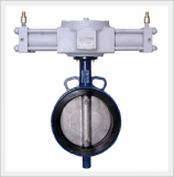 Center Lined Butterfly Valves Hydraulic Operator