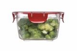 Airtight food container (bz1022)