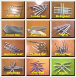 Nails for collating & loose nails
