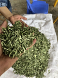 Dried herbal tea lemongrass leaf for export with good price from Vietnam 2023