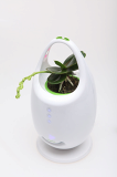 Decorate with mini ion air purifier & LED Lamp