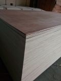 Packing commercial plywood sanding 1 time good quality