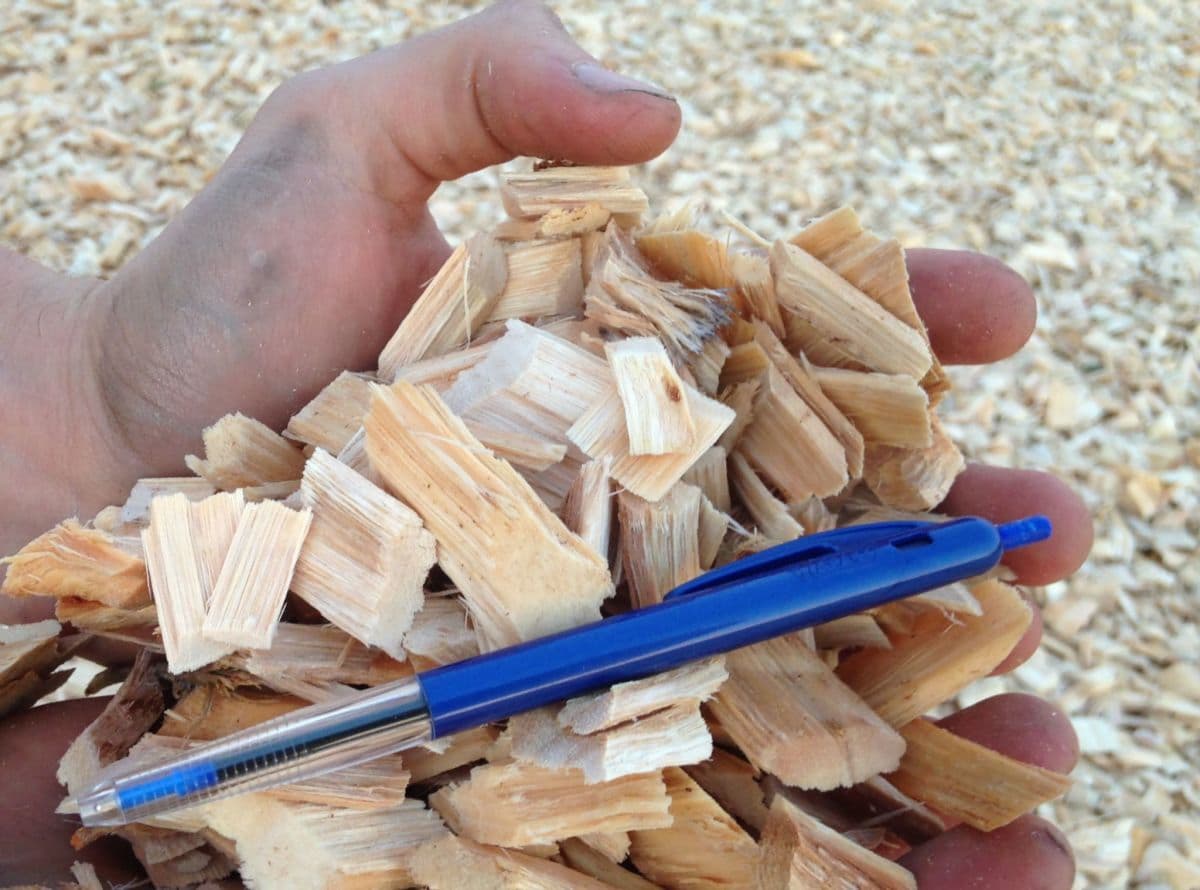 Businesses: Wood Chips for Paper Products and More
