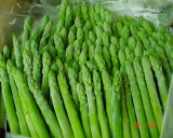 IQF (Frozen) Asparagus /Fresh Asparagus
