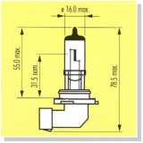 H10 Type