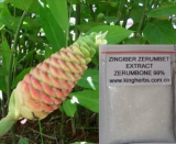 Zingiber Zerumbet Extract