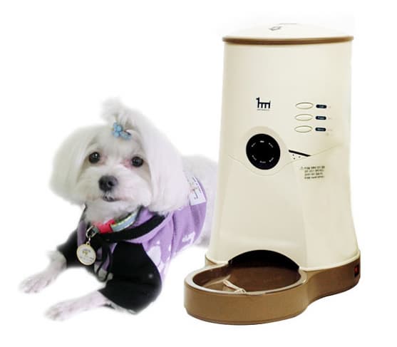 Sbmt Petwatch Timer V Automatic Pet Feeder Tradekorea