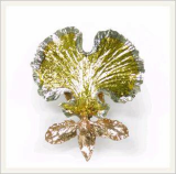 Gemstones (Omcidium)