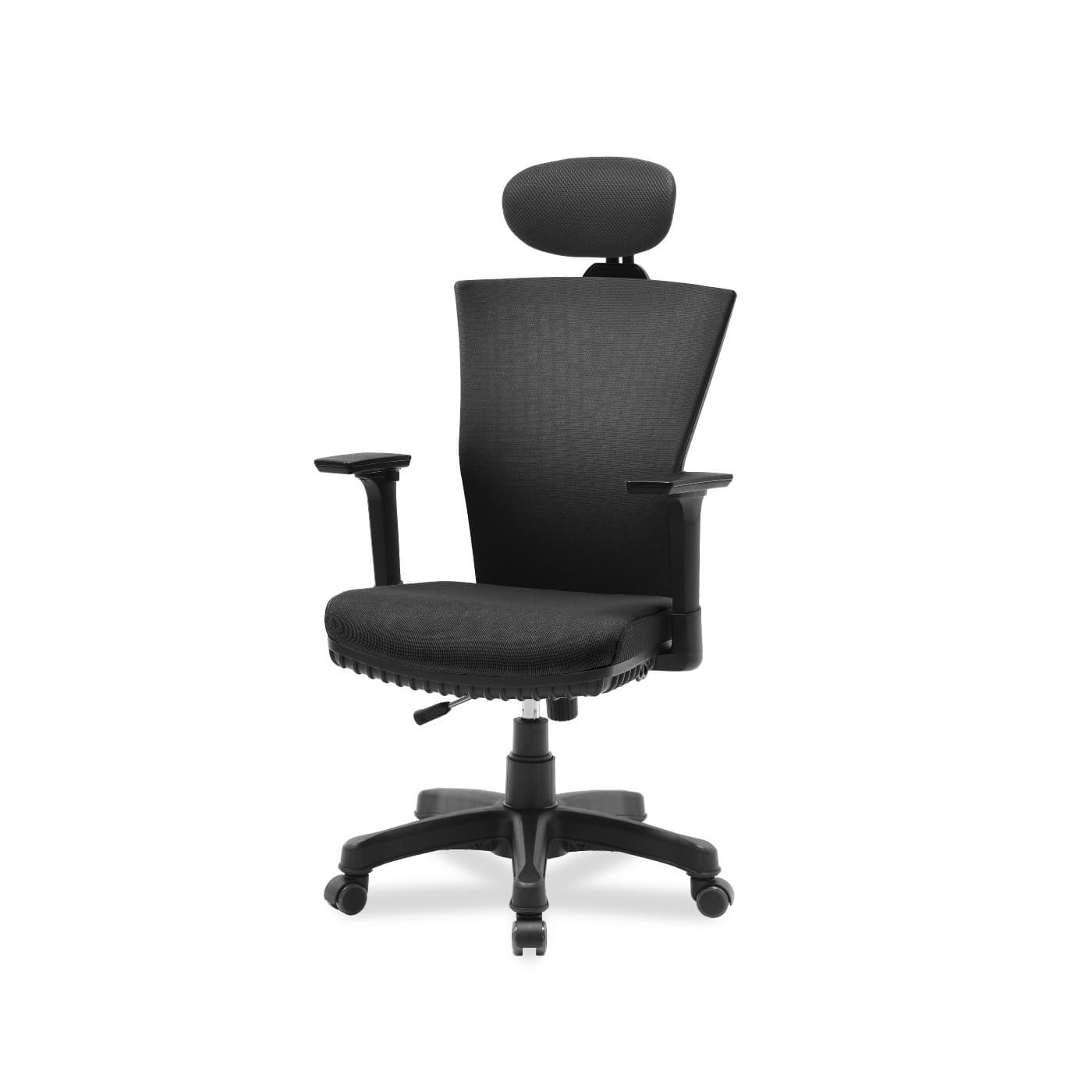 Ergonomic Office Chair_ adjustable armrest