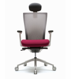 Highly Adjustable Ergonomic Office Chair _TN50_CHN4300_