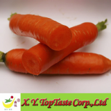 Fresh Carrot-2011 Chinese Fresh Carrot